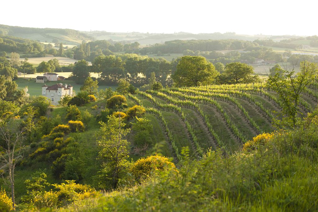 VALLÉE DE LA BAÏSE ET COLLINES DE LARRANCHÉLAN Auch Occitanie