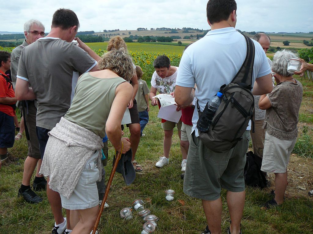 VIGNE ET GASTRONOMIE Condom Occitanie