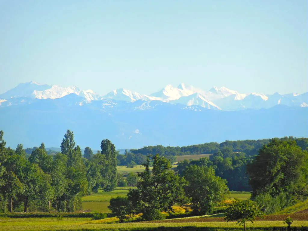 LE CHEMIN DU BOIS BEDAT Auch Occitanie