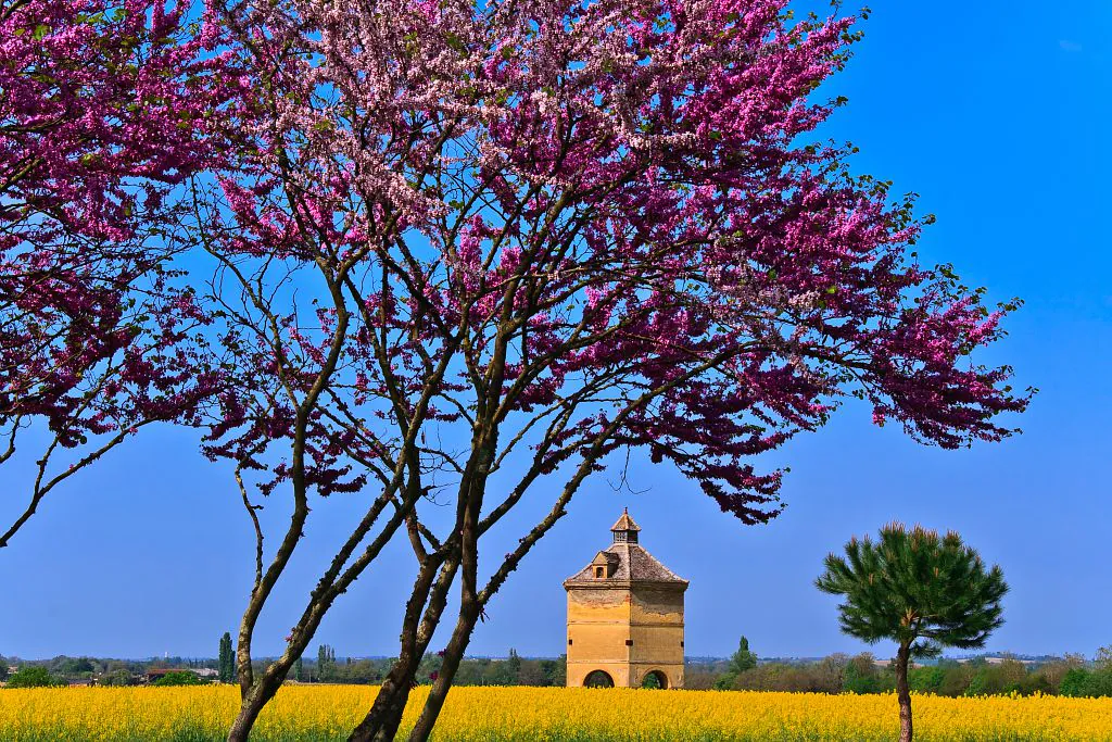 SENTIER DES PIGEONNIERS Mauvezin Occitanie