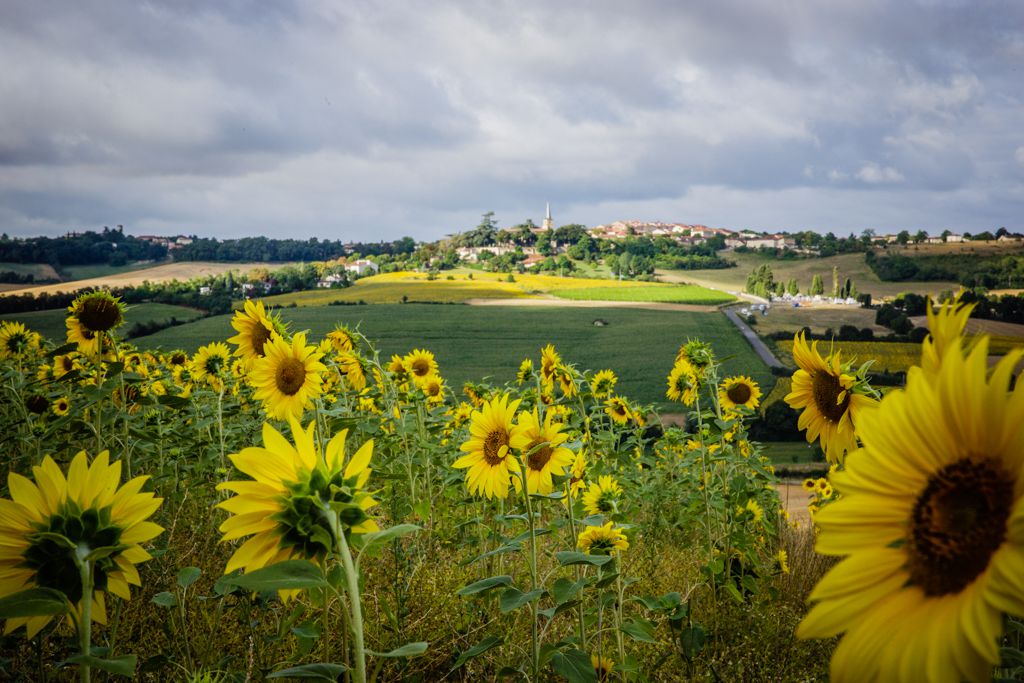 LAVOIRS ET MOULIN DE JEGUN Auch Occitanie