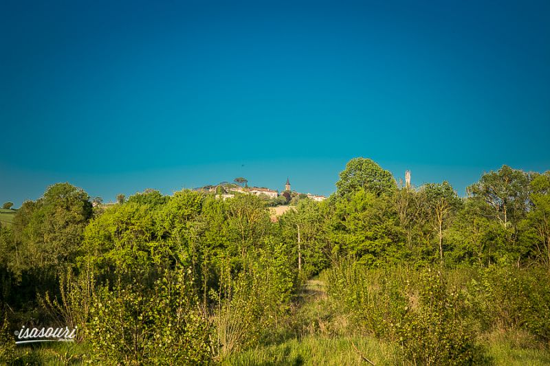 PAR LE BOIS DE CASTILLON-MASSAS Auch Occitanie