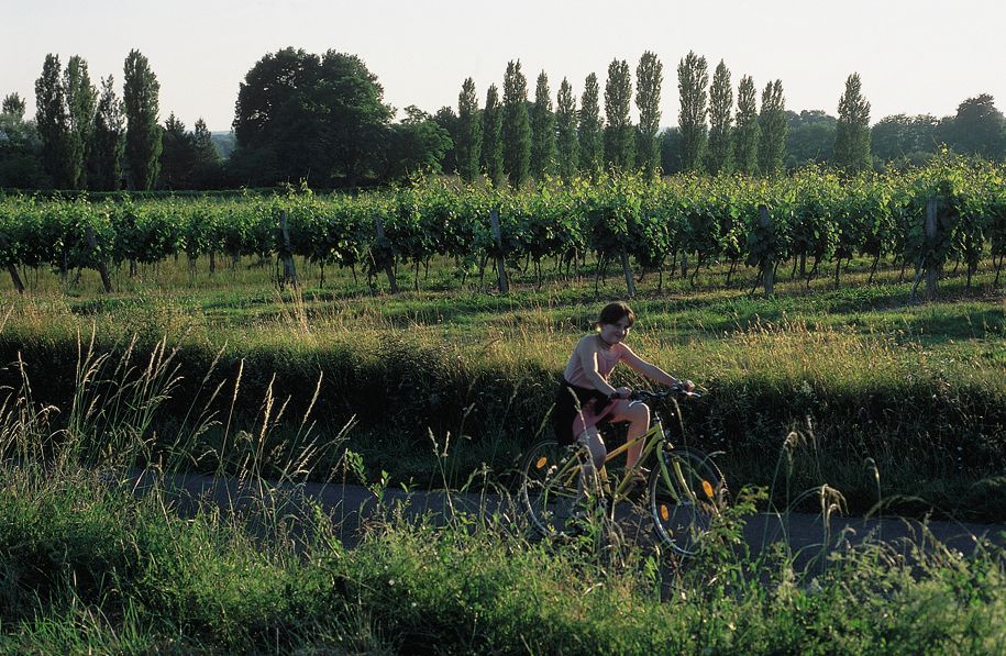 CHEMIN DU PITÉ Eauze Occitanie