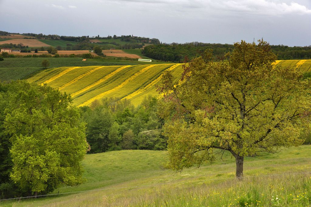 VOYAGE EN COEUR D'ASTARAC 1 Mirande Occitanie