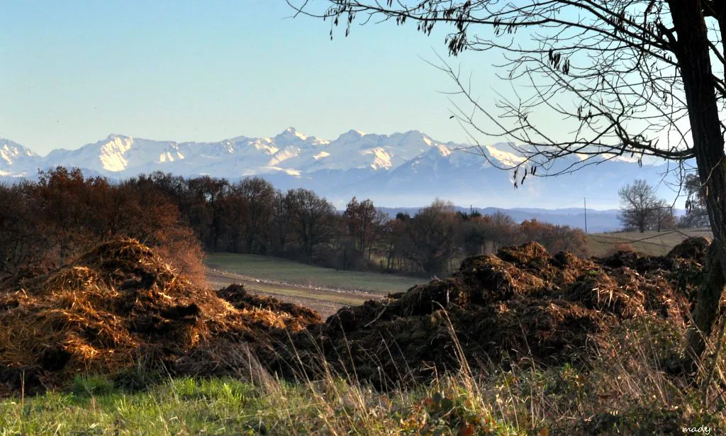 VOYAGE EN COEUR D'ASTARAC 2 Mirande Occitanie