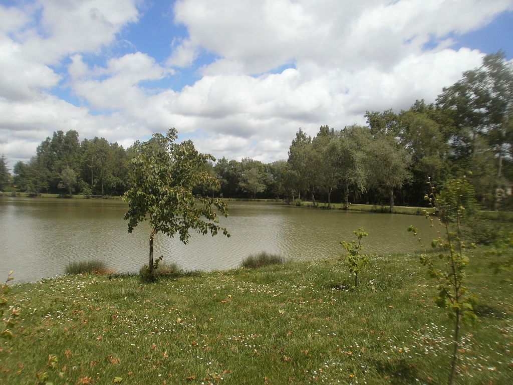 VUES SUR MAUVEZIN Mauvezin Occitanie