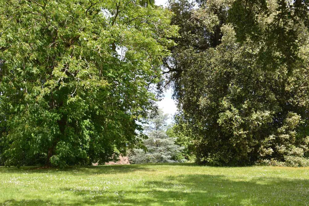 PR BALADE AUTOUR DE FLEURANCE Fleurance Occitanie