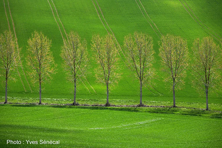 AU FIL DE LA SAVE L'Isle-Jourdain Occitanie