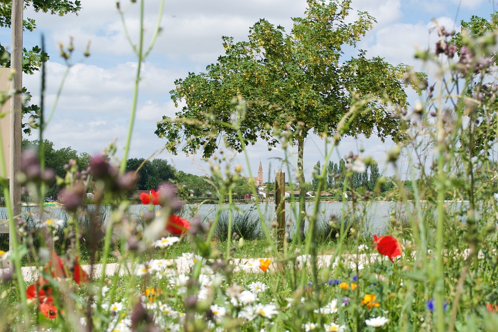 BALADE ENTRE NATURE ET PATRIMOINE Samatan Occitanie