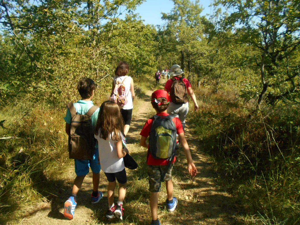 SENTIER À LA DECOUVERTE DE LA FORÊT Masseube Occitanie