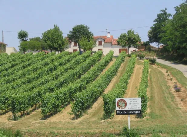 PR LA RANDONNEE DES FILLES D'EMBIDOURE Réjaumont Occitanie