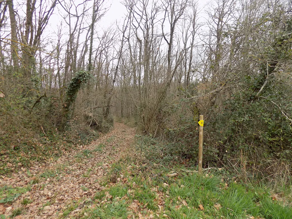 AU BOIS DE TULLE Gimont Occitanie