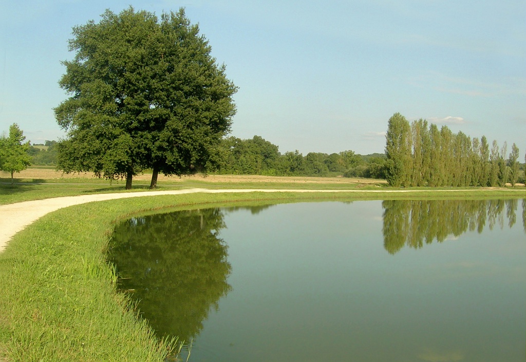 CIRCUIT DES VIGNES Marciac Occitanie