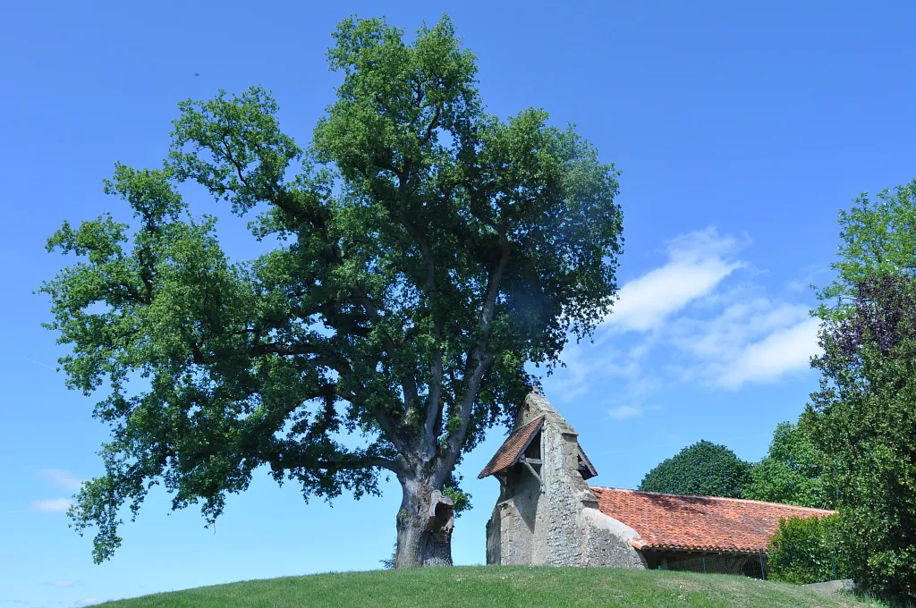 L'ASTARAC DU MOYEN ÂGE Villecomtal-sur-Arros Occitanie