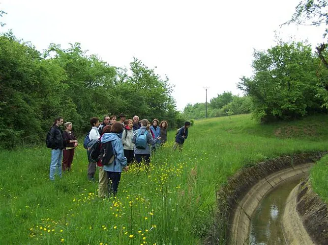 LE SENTIER DU LARRAZET Masseube Occitanie