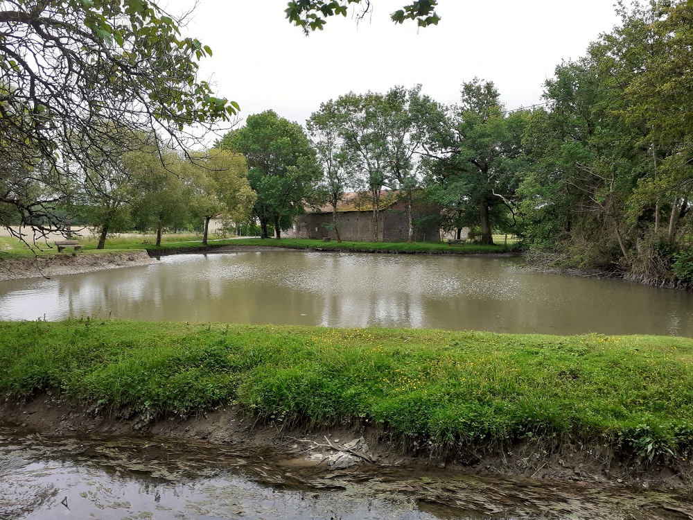 DES RIVES DE L'ARROS AUX BERGES DE L'ADOUR Marciac Occitanie