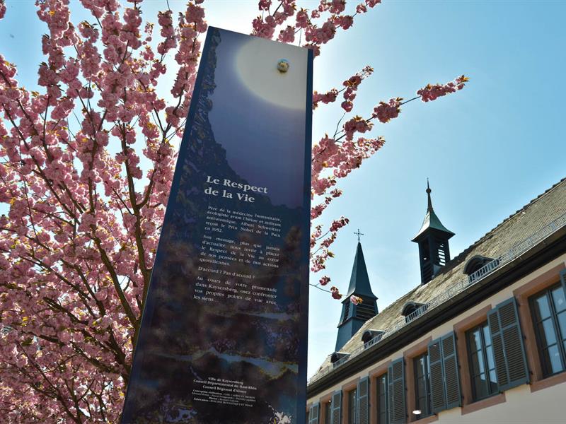 Itinérance Sur les traces d'Albert Schweitzer Kaysersberg Vignoble Grand Est