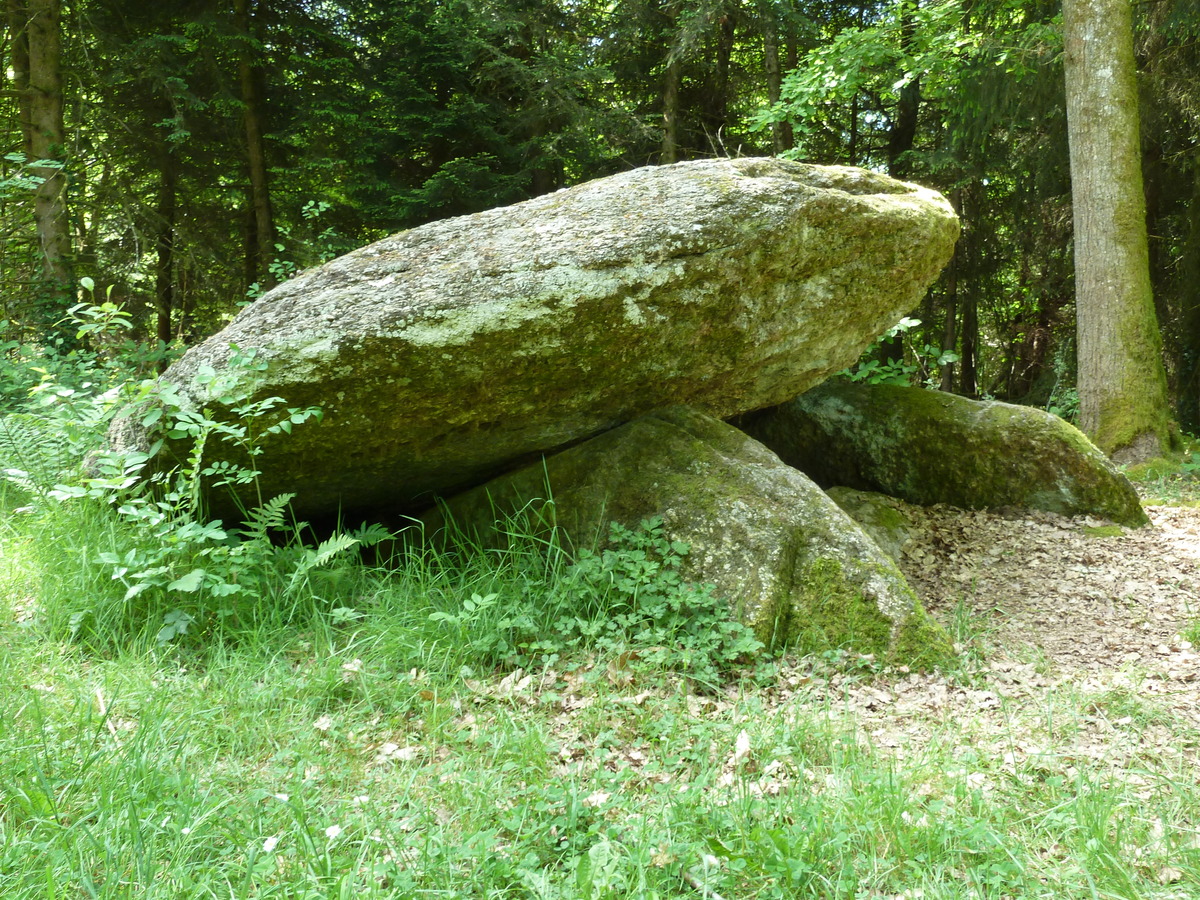 Boucle des Etangs Chalais Nouvelle-Aquitaine