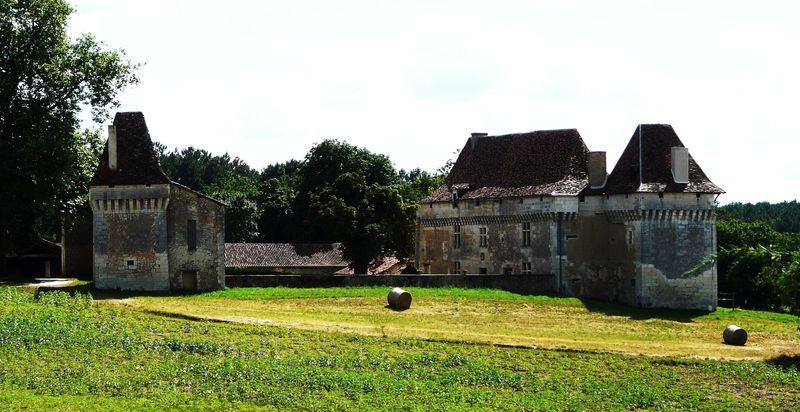 Boucle de Segonzac Segonzac Nouvelle-Aquitaine