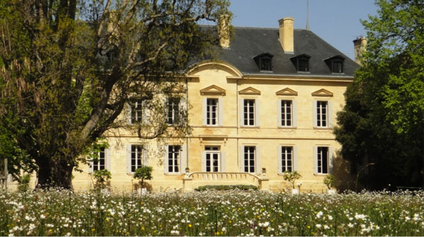 Boucle pédestre sur les chemins de Néac Saint-Émilion Nouvelle-Aquitaine