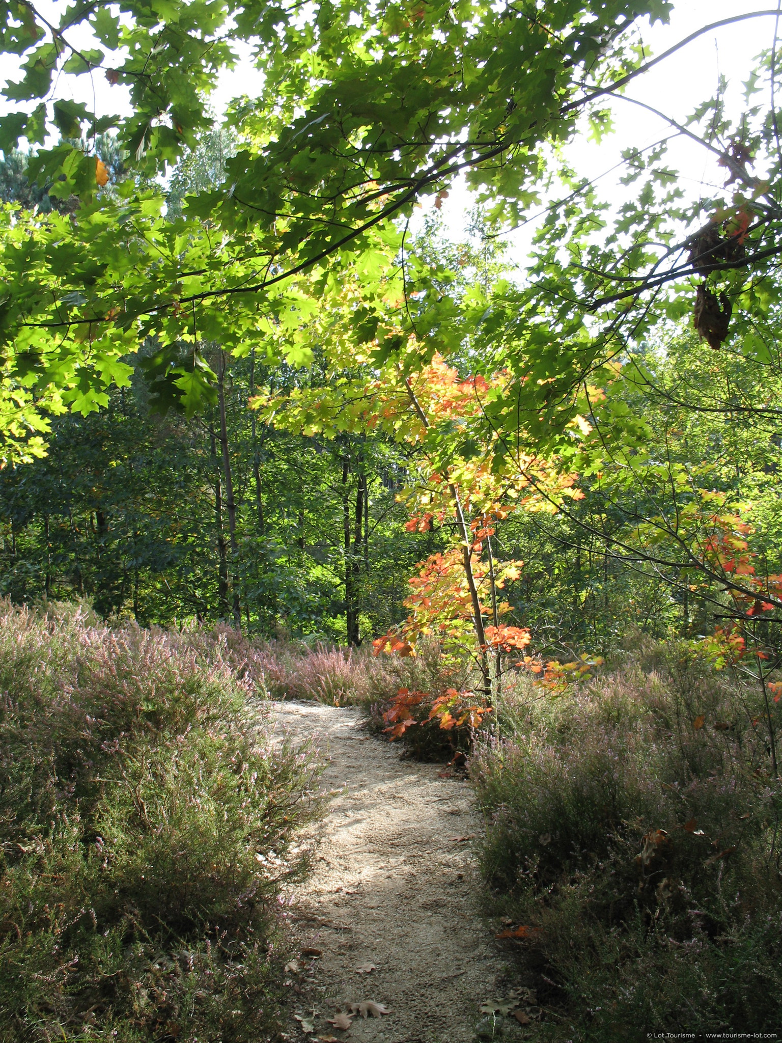 Circuit des landes du Frau Lavercantière Occitanie