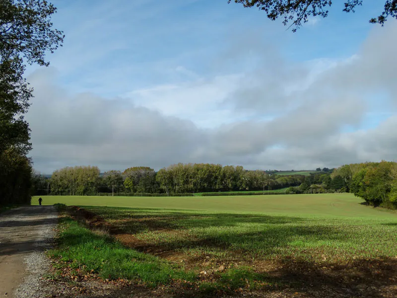 Base VTT sud du Perche De châteaux en étangs par le chemin de César (rouge-33 Km) Couëtron-au-Perche Centre-Val de Loire