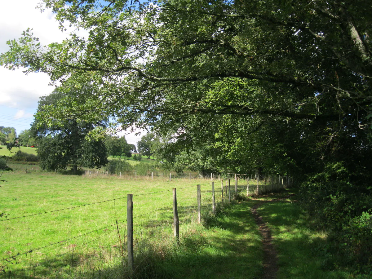 Sentier des trois ruisseaux Limoges Nouvelle-Aquitaine