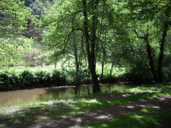 Pêcher dans les eaux vives du Périgord depuis Jumilhac le Grand Jumilhac-le-Grand Nouvelle-Aquitaine