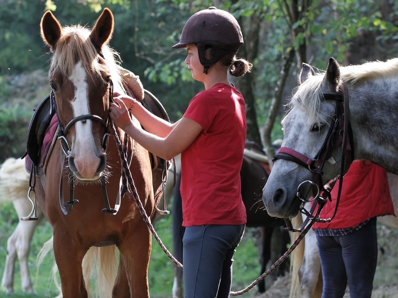 Le Circuit du Cheval de Pierre Damblainville Normandie