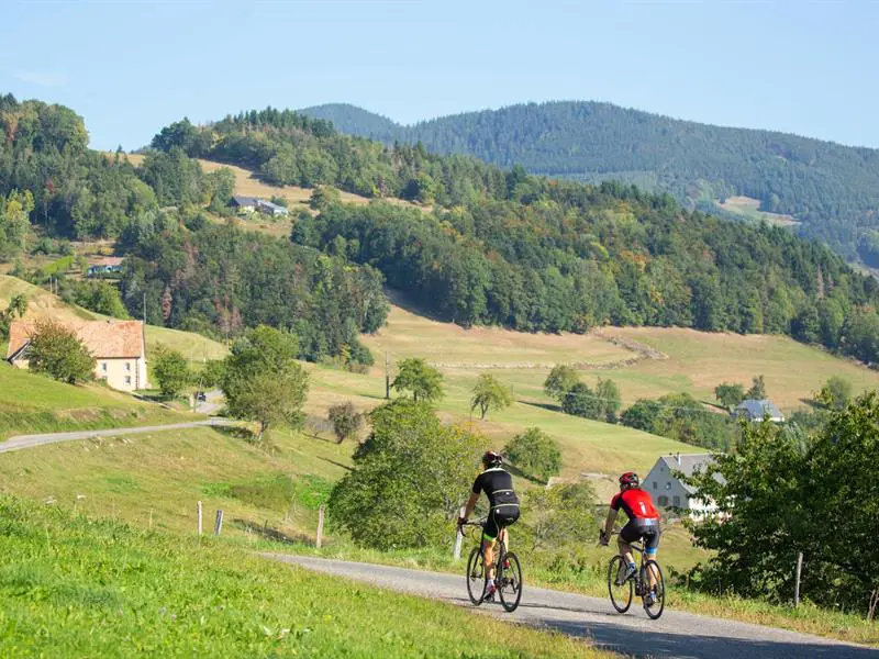 Circuit cyclo Kaysersberg Ribeauvillé Aubure Kaysersberg Vignoble Grand Est