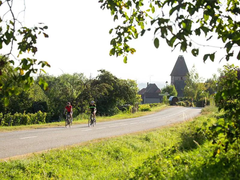 Circuit cyclo Les balcons du vignoble jusqu'à Munster Kaysersberg Vignoble Grand Est