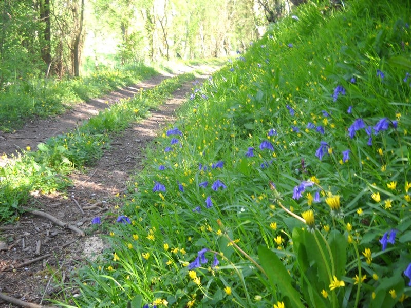 Le circuit de l'orgueil Malherbe-sur-Ajon Normandie
