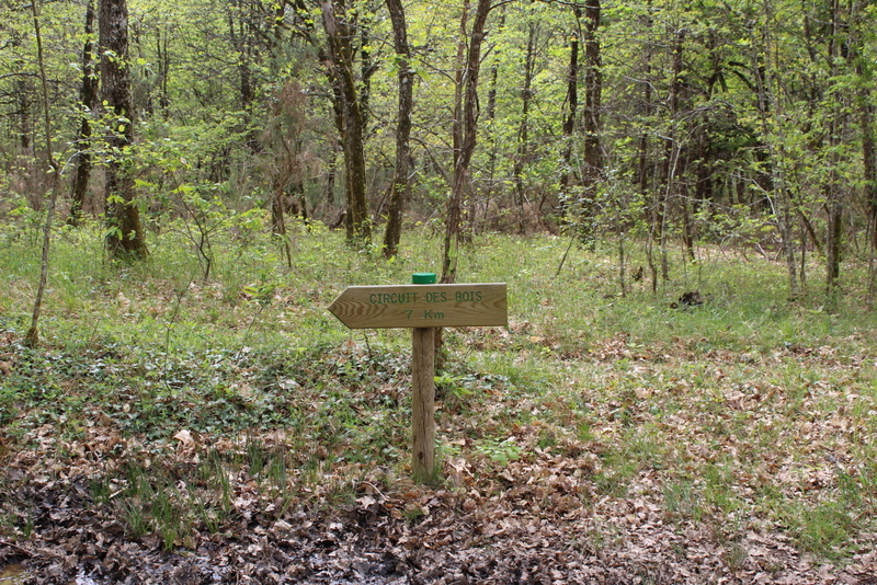 Circuit des bois de Margueron Margueron Nouvelle-Aquitaine