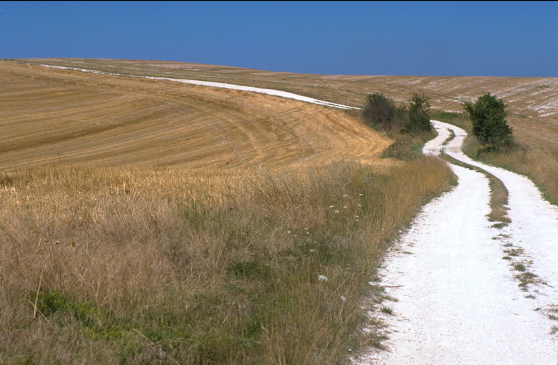 Circuit des Deux Crêtes Barguelonne-en-Quercy Occitanie