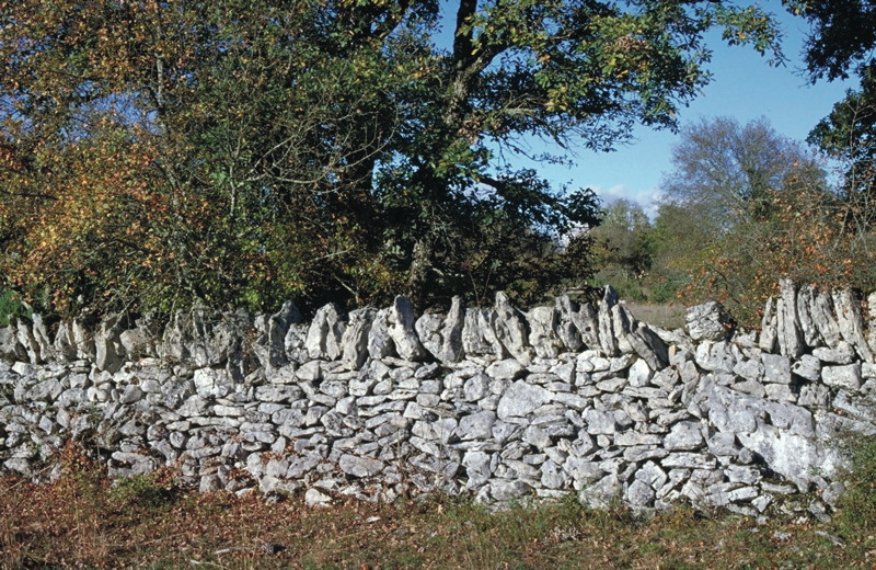 Entre Géologie et Préhistoire Padirac Occitanie