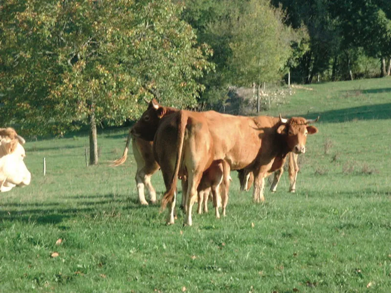 Chemin des moulins Lamothe-Fénelon Occitanie