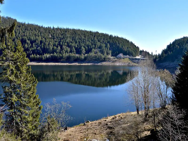 Circuit rando le petit tour du lac Noir Orbey Grand Est