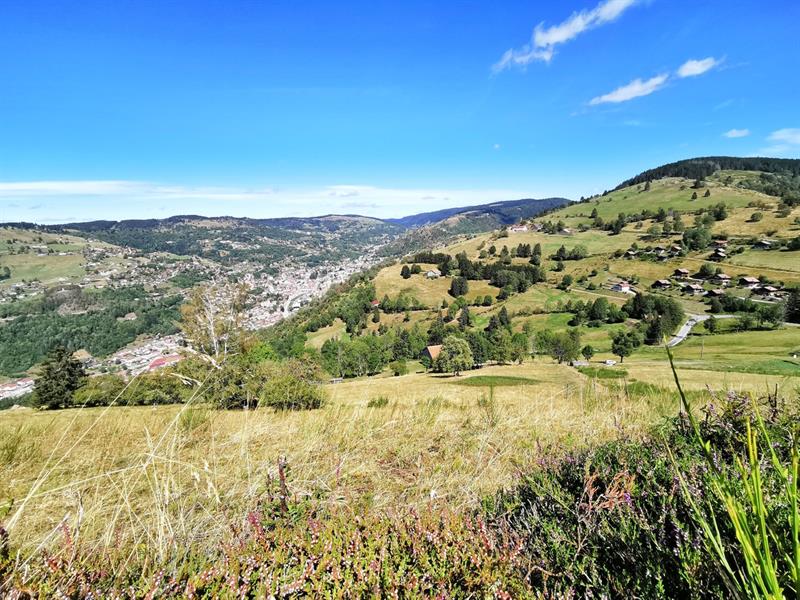 Trail circuit n°1 les bouchaux à La Bresse La Bresse Grand Est