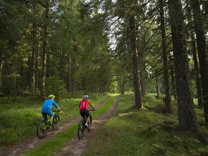 Circuit VTT 8 le tour de Labaroche Labaroche Grand Est