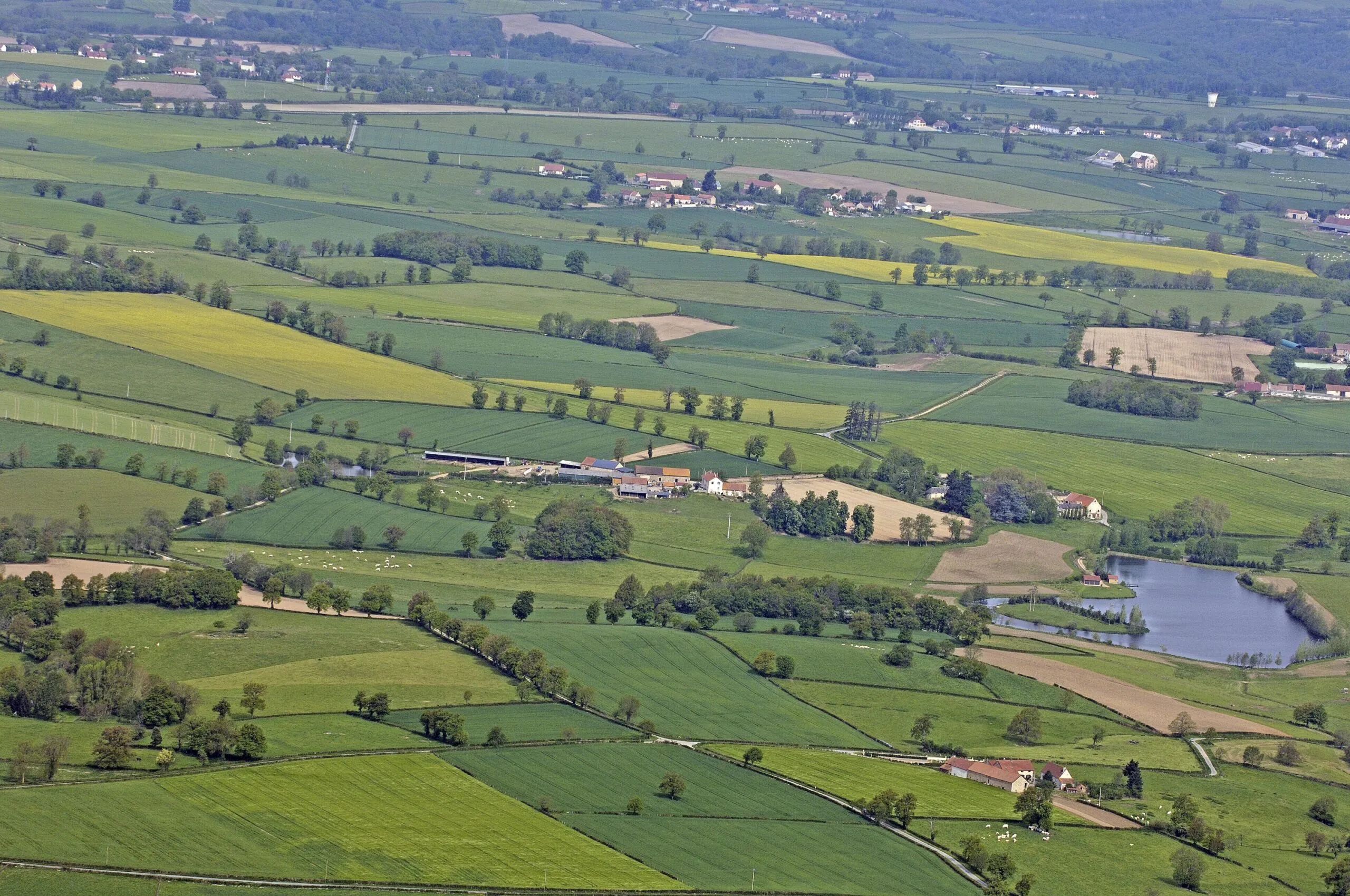 Le sentier de la Brande de Landes Gouzon Nouvelle-Aquitaine