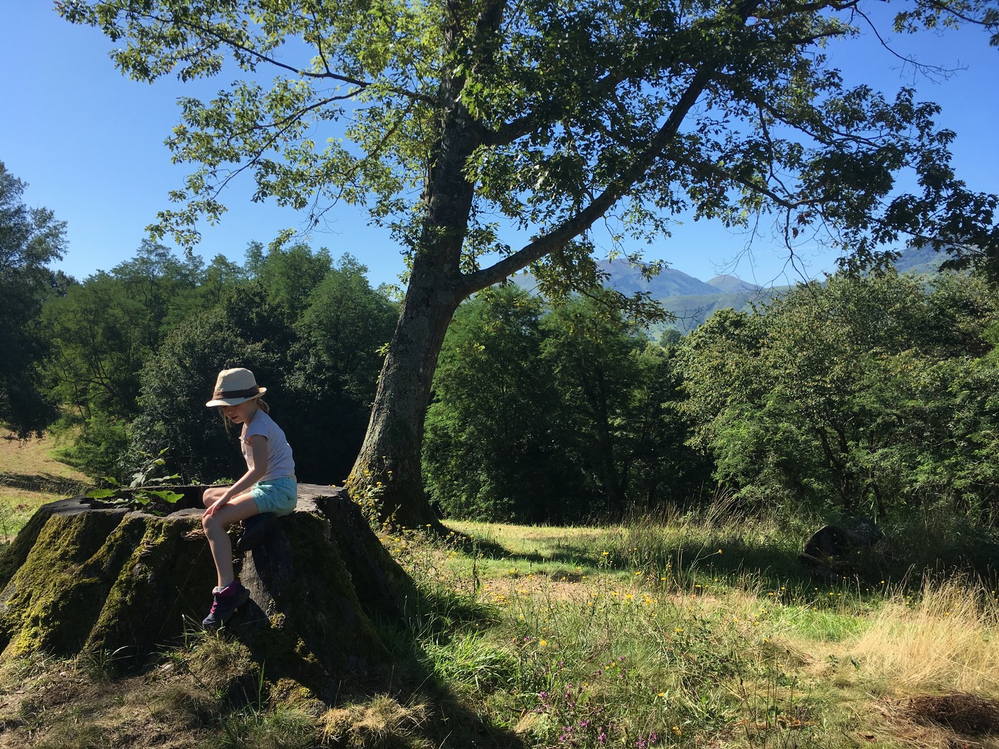 Colline de la Bergerie Cambo-les-Bains Nouvelle-Aquitaine