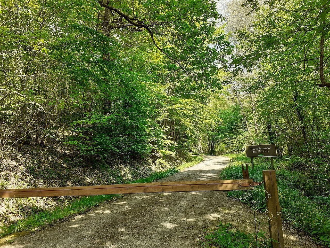 Circuit La Forêt Secondigny Nouvelle-Aquitaine