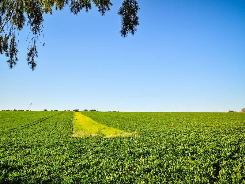 De l'Ajon à l'Odon Landes-sur-Ajon Normandie