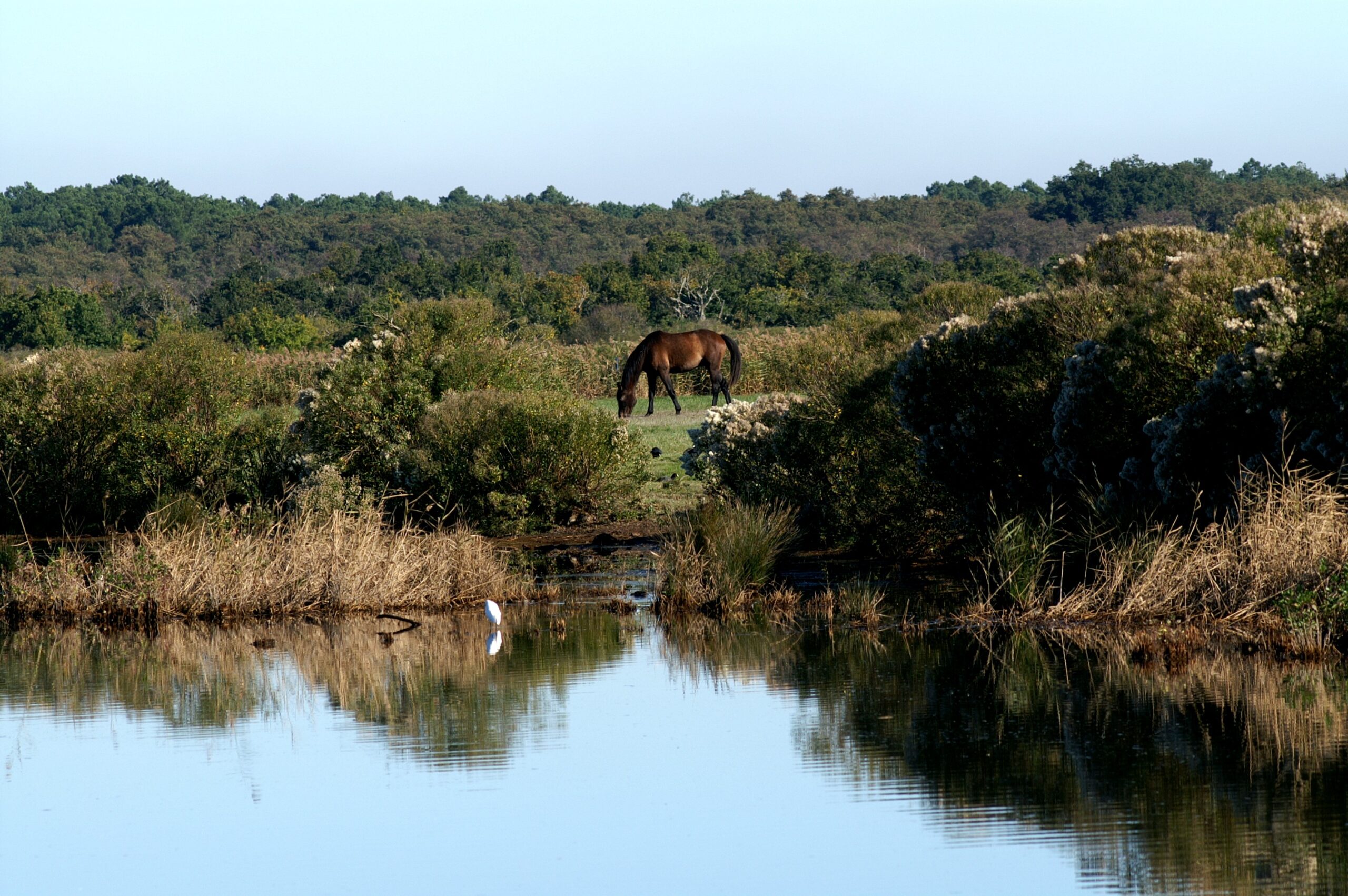 Sortie de L'Eyre vers le Delta au Teich Mios Nouvelle-Aquitaine