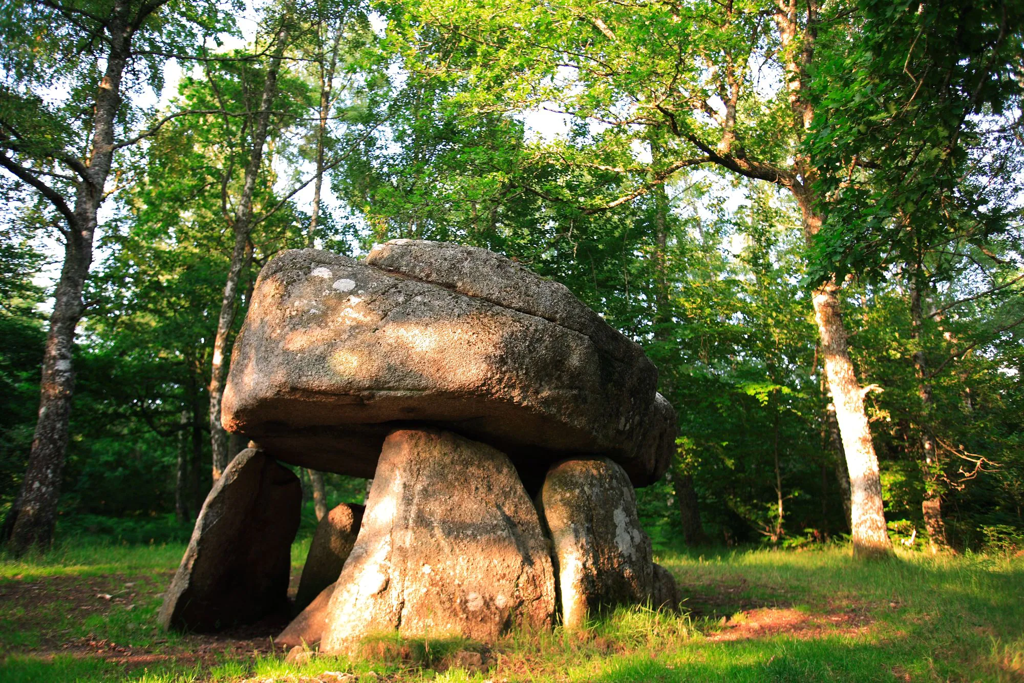 Circuit de randonnée Dolmen d'Urbe Crocq Nouvelle-Aquitaine