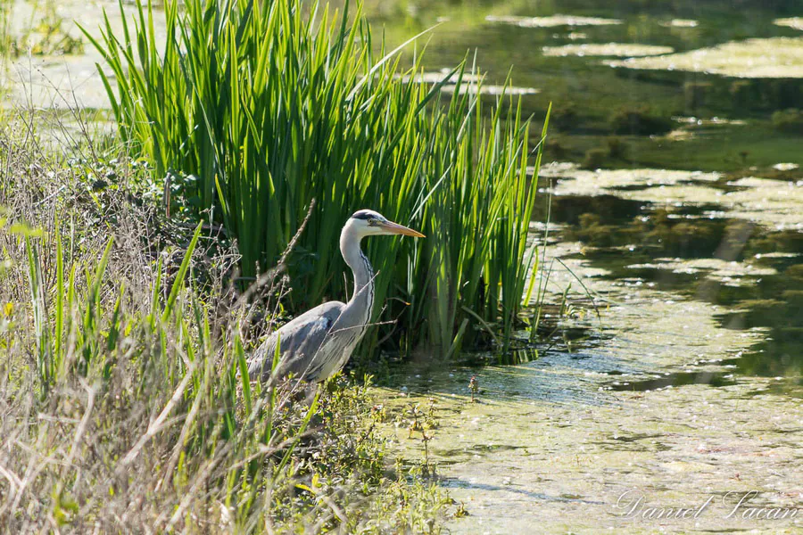 Boucle du Lac Bergerac Bergerac Nouvelle-Aquitaine