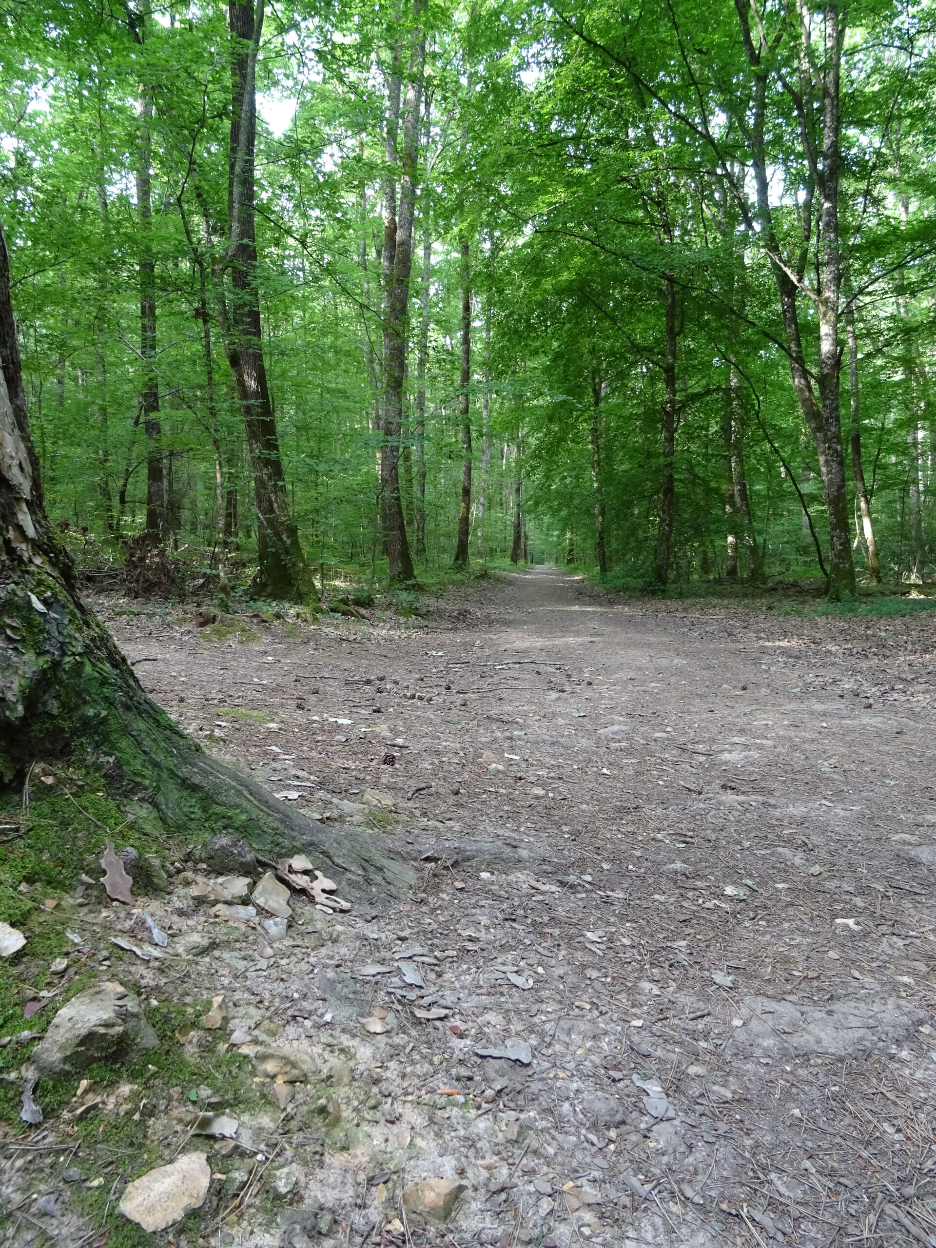 Circuit de la Vallée des Bouteilles Vouillé Nouvelle-Aquitaine