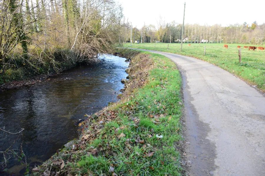 La Diège à Saint-Julien-d'Empare proche de Capdenac-Gare (lâchers de truites) Capdenac-Gare Occitanie