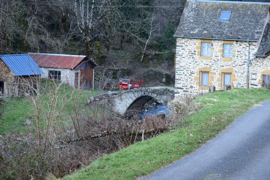 Le Mardonenque (no kill truite) Argences en Aubrac Occitanie