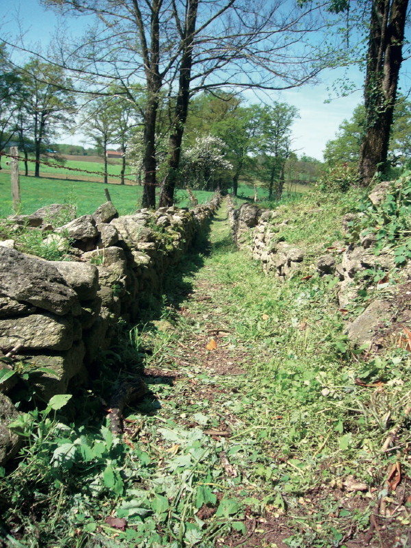 Circuit des Chemins Creux et Châtaigniers Lauresses Occitanie